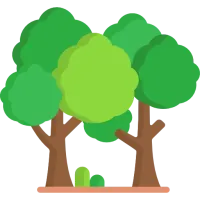 foret