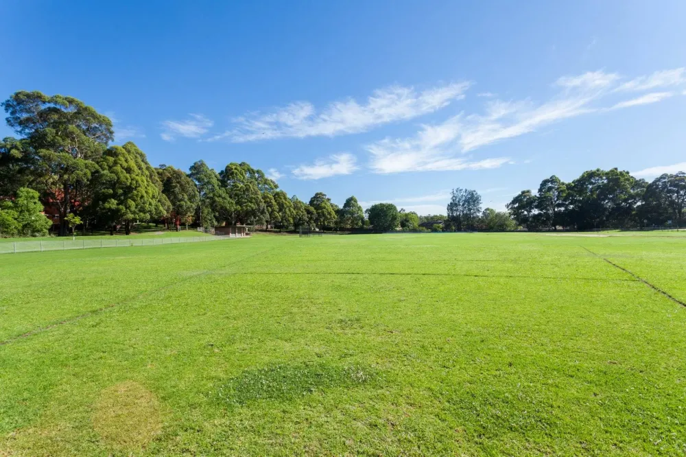 grand parc vert