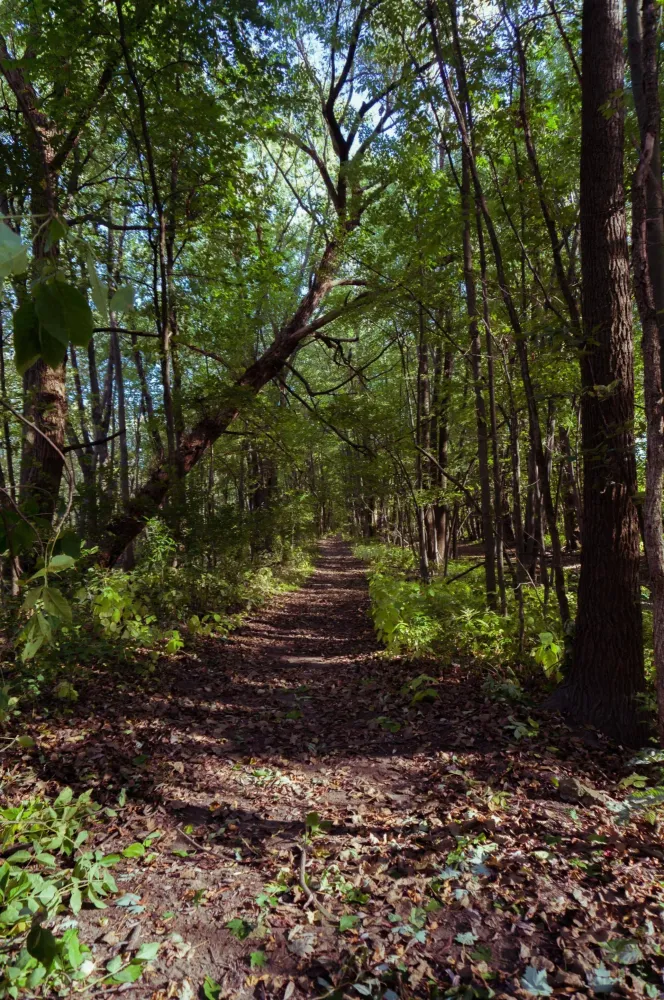 sentier